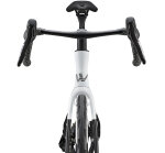 Wallis Carbon Project-R